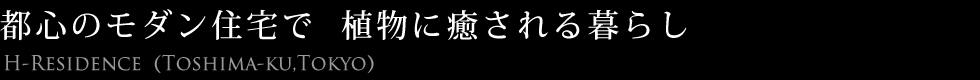 都心のモダン住宅で植物に癒される暮らし