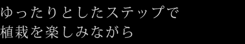 ゆったりとしたステップで植栽を楽しみながら