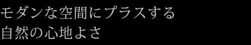 モダンな空間にプラスする自然の心地よさ