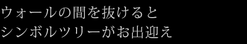 ウォールの間を抜けるとシンボルツリーがお出迎え