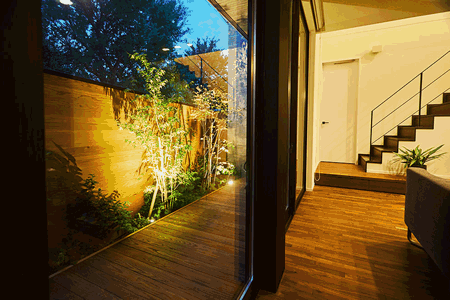 夜はライトアップで緑の陰影を楽しむ