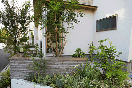 窓先に緑をとりこみ室内から庭の気配を感じる