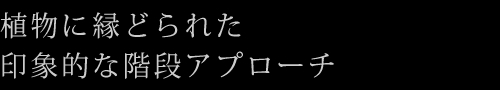 植物に縁どられた印象的な階段アプローチ